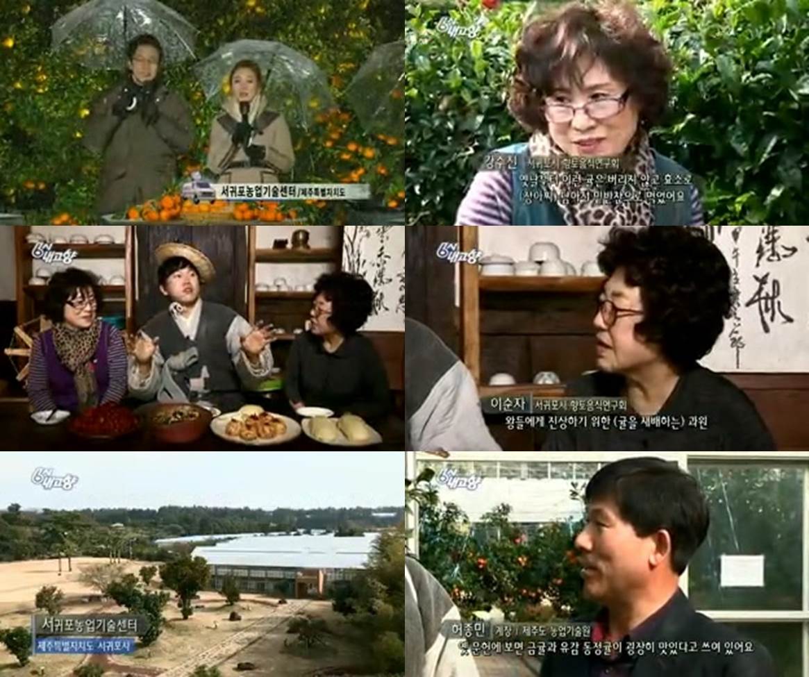6시 내고향 (특별기획-제주감귤) [KBS. 12. 16]